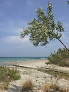 Plaja la marea Egee